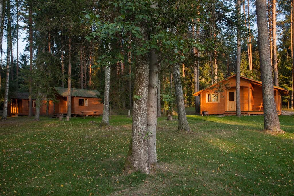 Atputas Komplekss Godeli Usma Zimmer foto